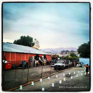 Angela Photo of the Week Frogtown