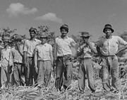 Puerto-Rican-Sugar-Cane-workersPD2_200