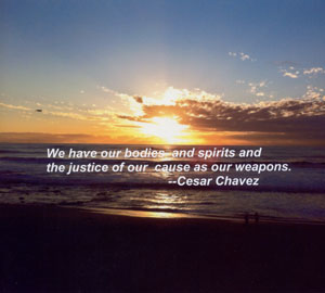 Quote: Cesar Chavez