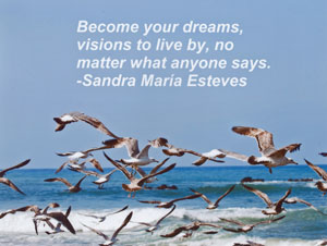 Quote: SAndra Esteves