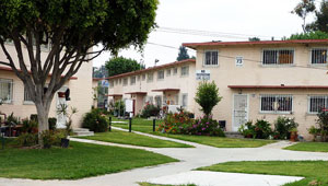 Ramona-GardensCCTedder_300